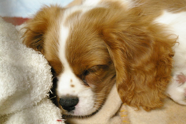 ボノとの初対面