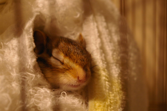 私じゃないけど任務成功しました