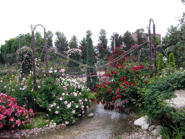 柿安本店株主総会・なばなの里