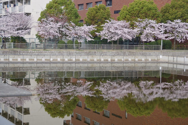 白鳥公園・熱田神宮公園