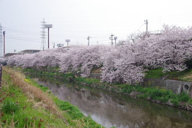 8612646392_0e112d65fa_m