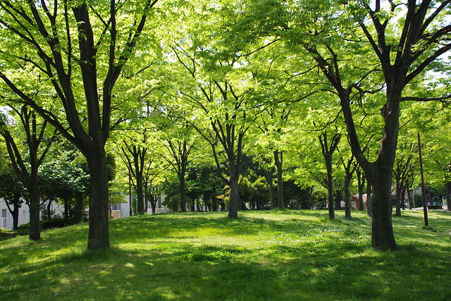 IMGP2203