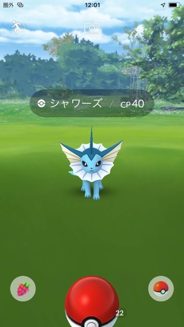 野生のシャワーズ